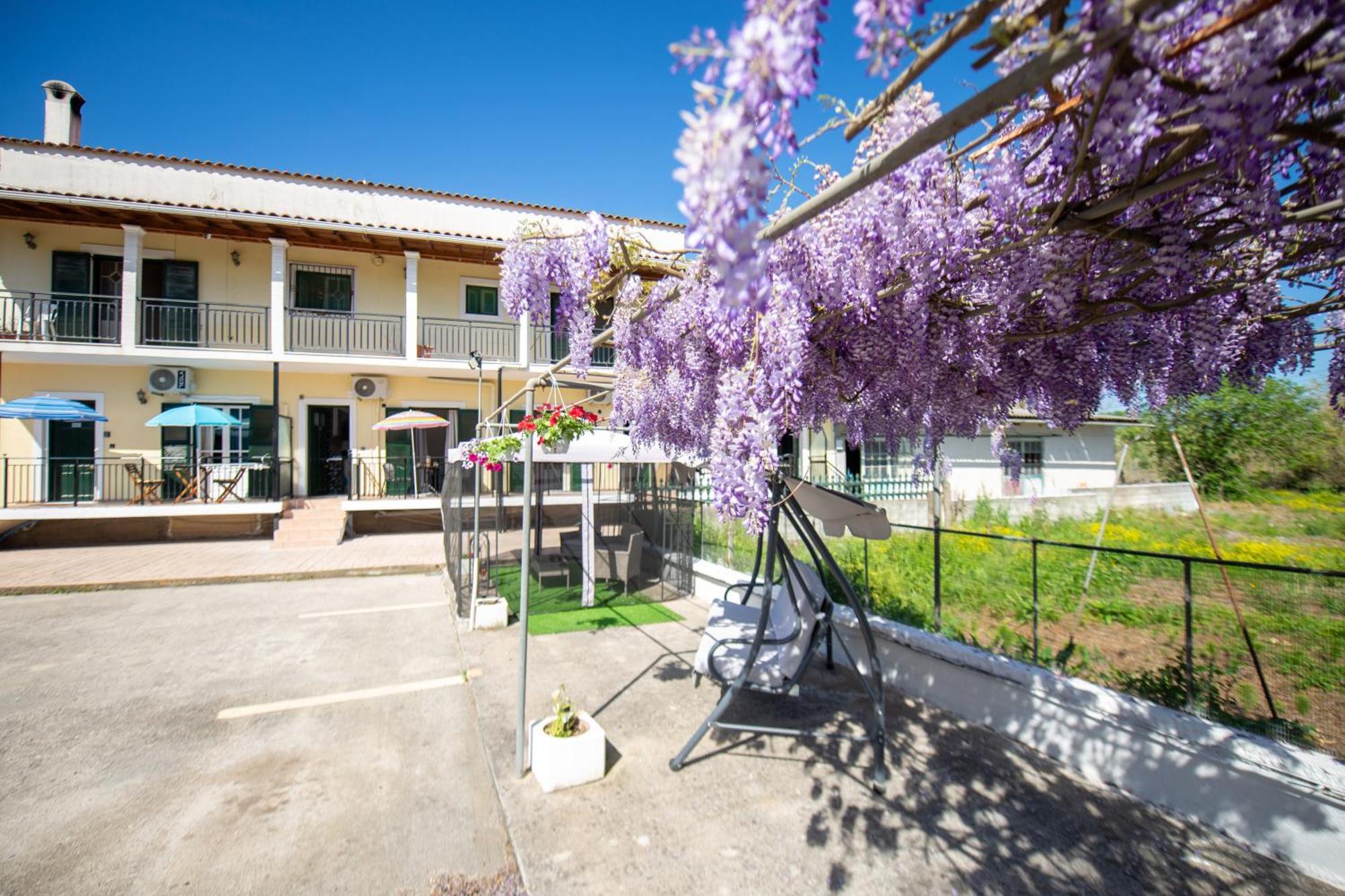 Ionian Luxury Appartamento *